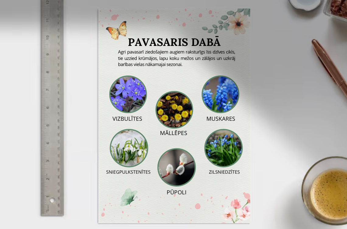 Pavasaris