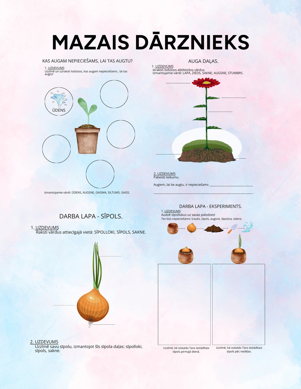MAZAIS DĀRZNIEKS