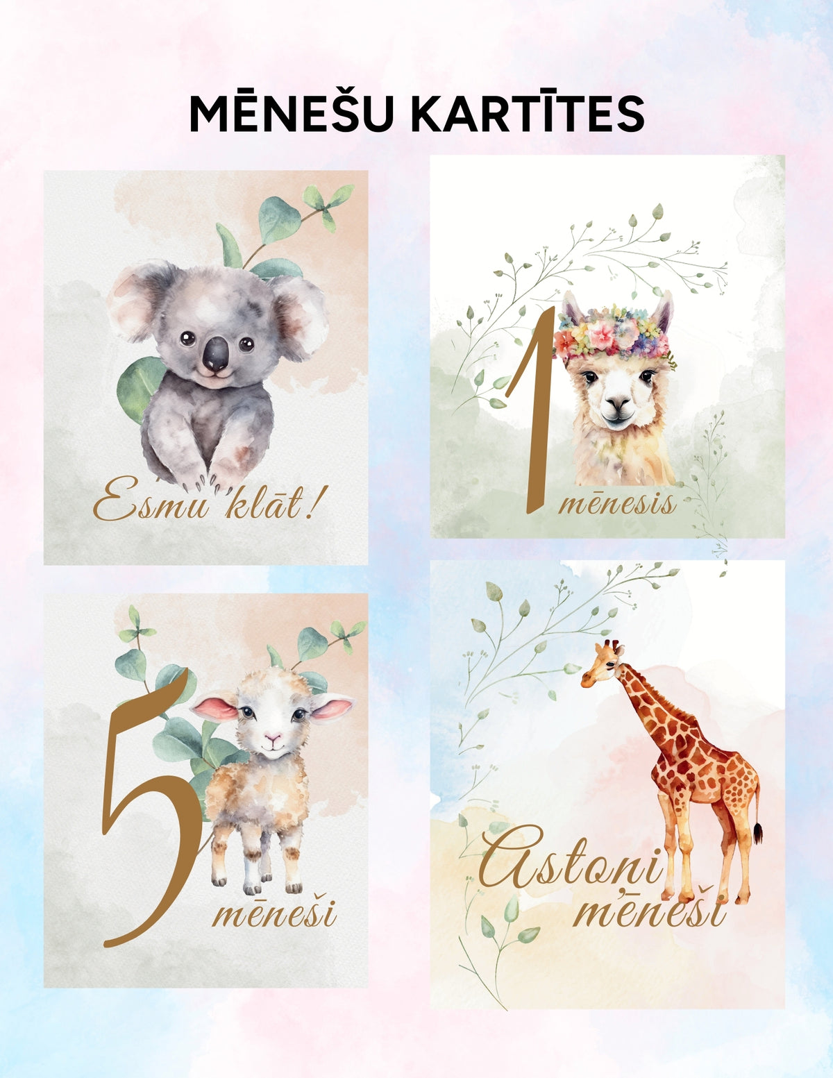 Mēnešu kartītes