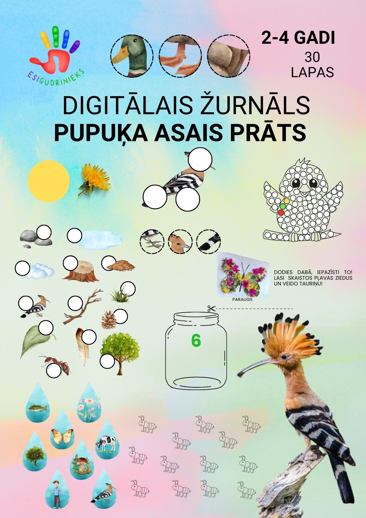 Digitālais žurnāls PUPUĶA ASAIS PRĀTS 2-4 gadi